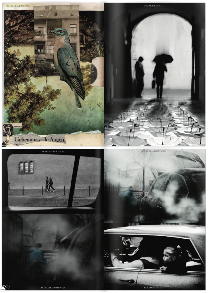 Visions libres#11_ Claudia Pomowski_Photo:Collage